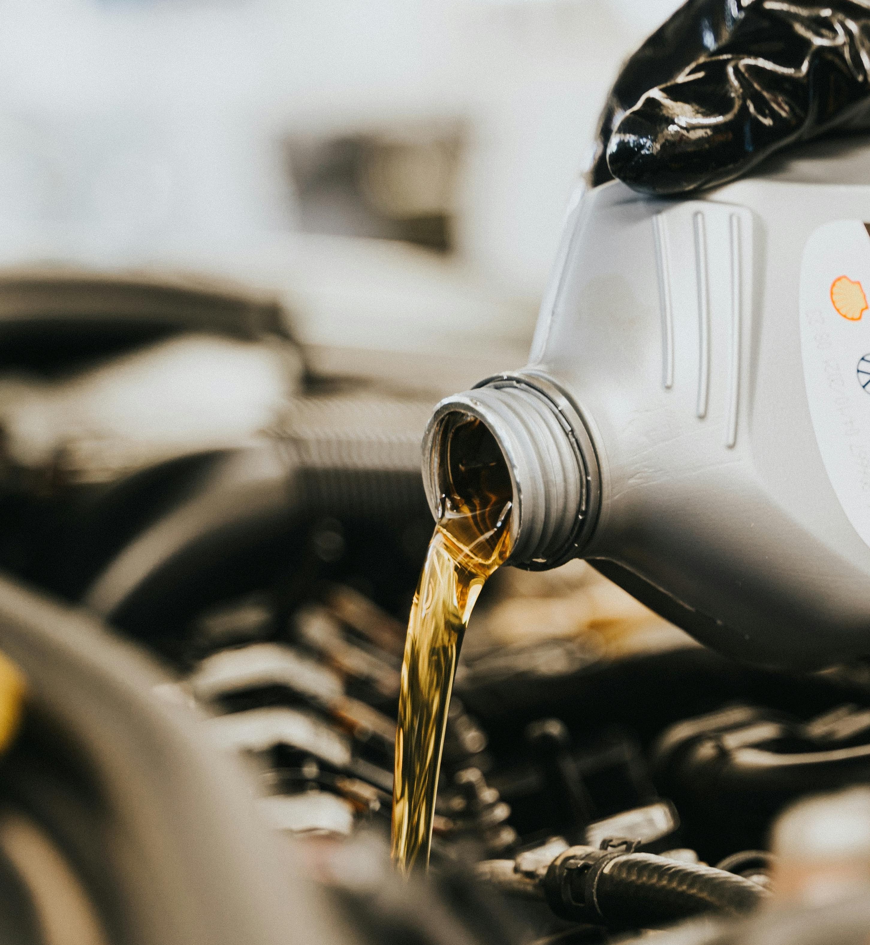 Service & Maintenance